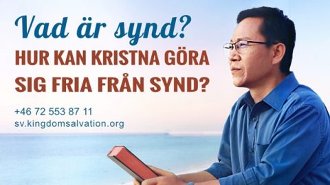 Vad är synd? Hur kan kristna göra sig fria från synd?