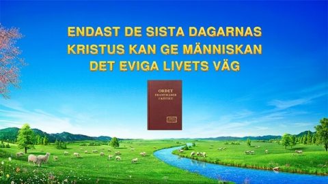 Endast de sista dagarnas Kristus kan ge människan det eviga livets väg