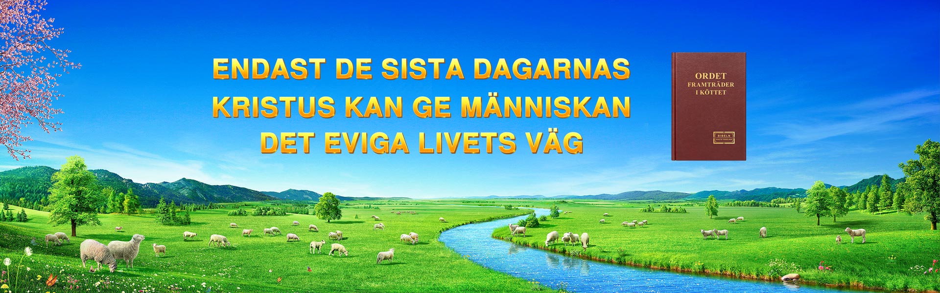 Endast de sista dagarnas Kristus kan ge människan det eviga livets väg